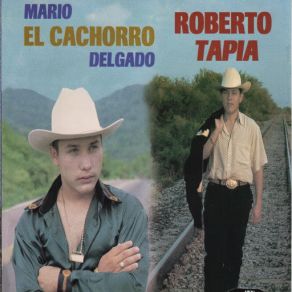 Simplemente Voz A Voz album cover