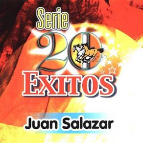 Serie 20 Exitos album cover
