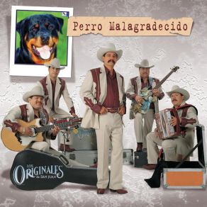 Perro Malagradecido album cover