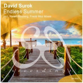 Endless Summer album cover