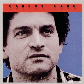 A Traves Del Olvido album cover