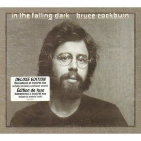 In The Falling Dark (Remastered) album cover