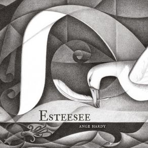 Esteesee album cover