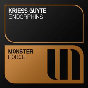 Endorphins album cover