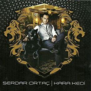 Kara Kedi album cover