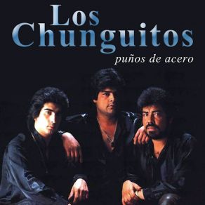 Puños De Acero album cover