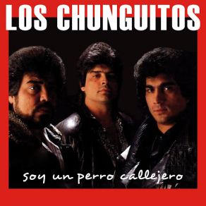 Soy Un Perro Callejero (Single) album cover