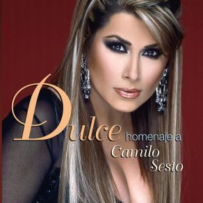 Dulce Homenaje A Camilo Sesto album cover