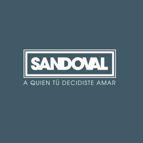 A Quien Tu Decidiste Amar (Single) album cover