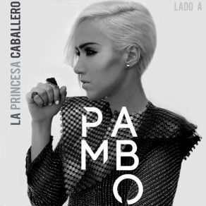 La Princesa Caballero album cover