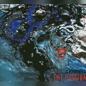 The Passsion album cover
