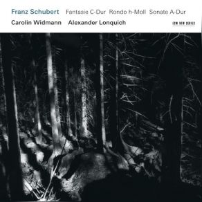 Schubert - Fantasie D-Dur · Rondo H-Moll · Sonate A-Dur - Carolin Widmann album cover