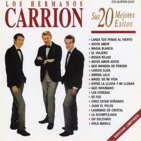 Sus 20 Mejores Éxitos album cover