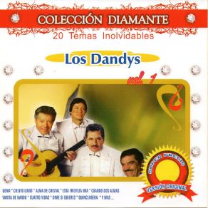 20 Temas Inolvidables De Los Dandys album cover