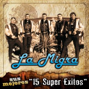 Sus Mejores - 15 Super Exitos album cover