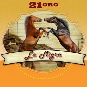 Serie De Oro: 21 Éxitos album cover