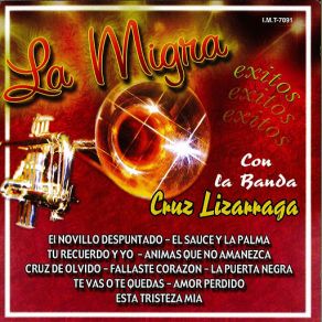 Exitos Con Banda album cover