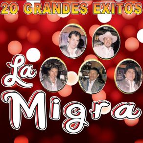 20 Grandes Exitos album cover