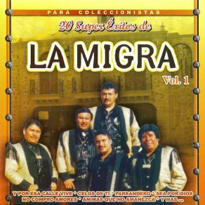 Sus Exitos # 1 album cover