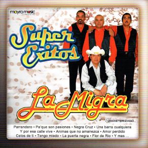 Super Exitos album cover