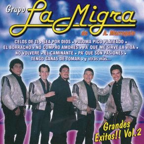 Grandes Exitos!! Vol. 2 album cover
