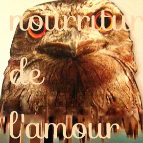 Nourriture De L'Amour album cover