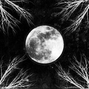 PaleMoon album cover