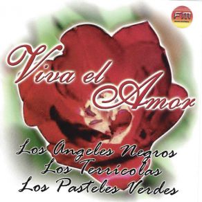 Viva El Amor album cover