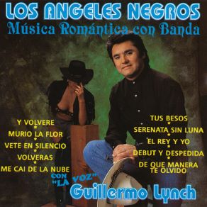 Musica Romantica Con Banda album cover