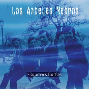 Serie De Oro album cover
