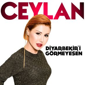 Diyarbekir'i Görmeyesen (Single) album cover