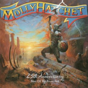 25th Anniversary (Best Of Re-Recorded) album cover