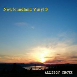 Newfoundland Vinyl 3 album cover