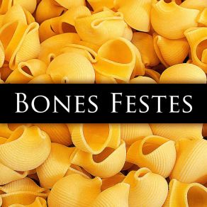Bones Festes album cover