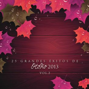 25 Grandes Éxitos De Otoño 2013 Vol. 2 album cover