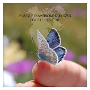 Musique D'Amérique Du Nord Pour Le Bien-Être album cover