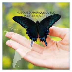 Musique D'Amérique Du Sud Pour Le Bien-Être album cover