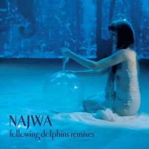 Following Dolphins (Remixes) album cover