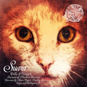 Imprint Of Pleasure (Remixes) album cover