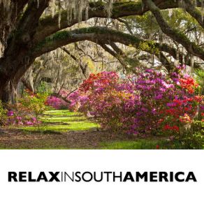 Relax In South America album cover