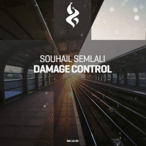 Damage Control (Single) album cover