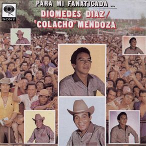 Para Mi Fanaticada album cover