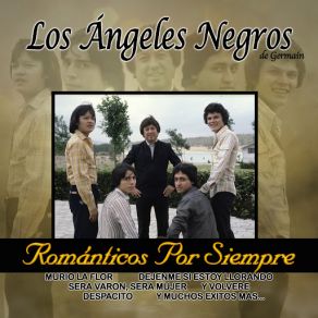 Romanticos Por Siempre album cover