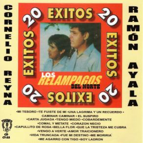 20 Exitos album cover