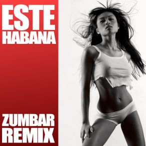 Zumbar Remixes album cover
