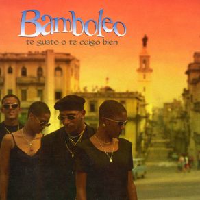 Te Gusto O Te Caigo Bien album cover