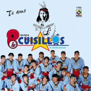 Te Amo album cover