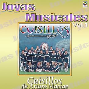 Al Ritmo De Vol. 1 album cover