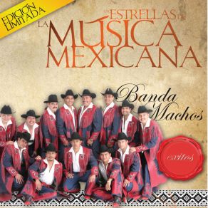 Las Estrellas De La Musica Mexicana (USA) album cover