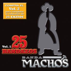 25 Bandazos De Machos (Vol. 1) (USA) album cover